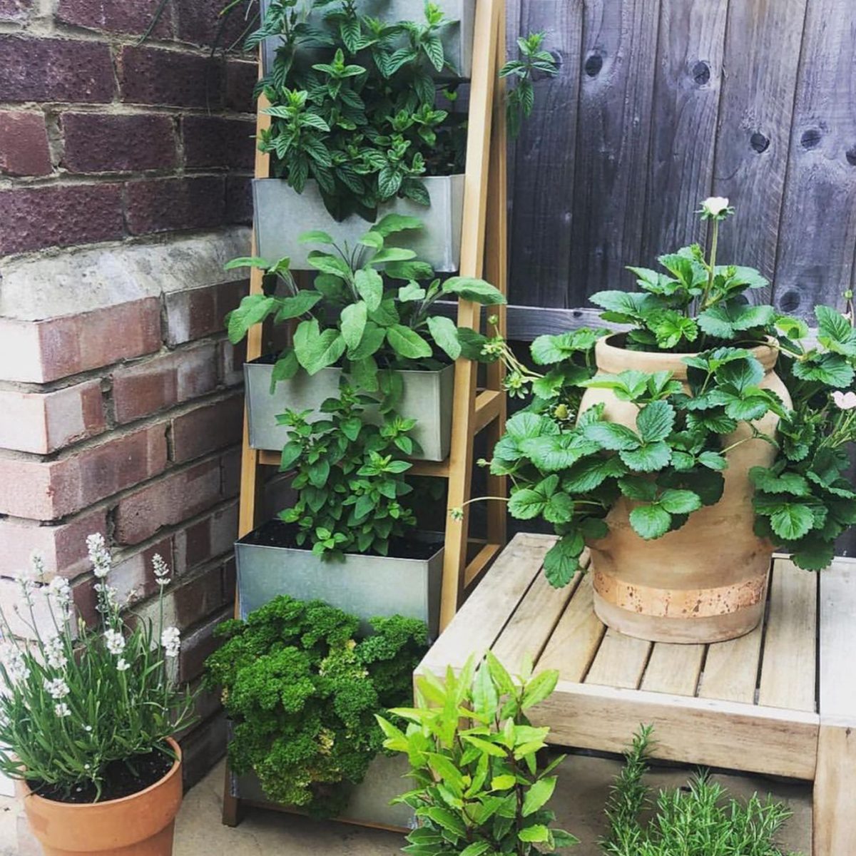 Potted Garden Idea Courtesy Thegreenhousebrentwood Instagram