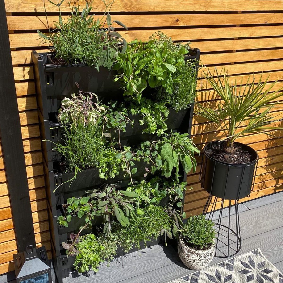 Home Gardening  Ideas for Vegetable, Herb Gardens & More - HomeAdvisor