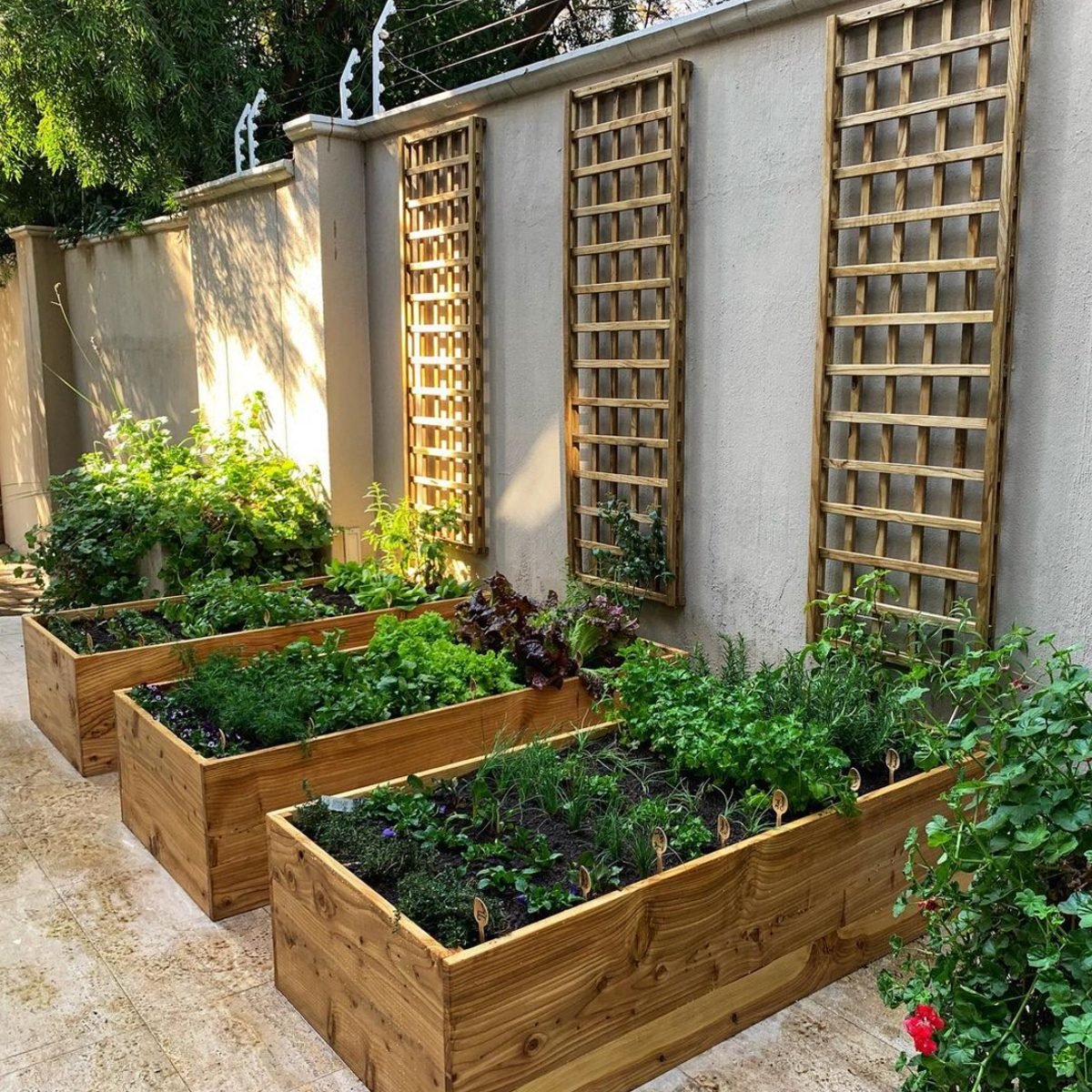 Vegetable Planters