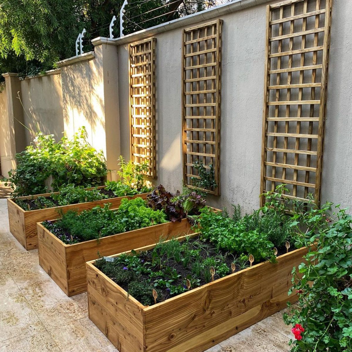 11 Vegetable Garden Ideas | The Family Handyman