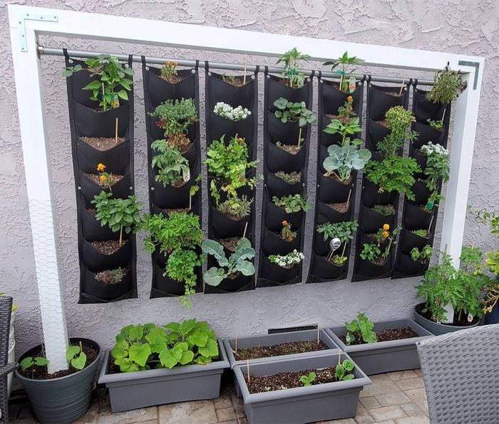 Diy Vertical Garden Courtesy @melaniecollup Via Instagram