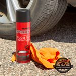 Best Bug and Tar Remover for Cars