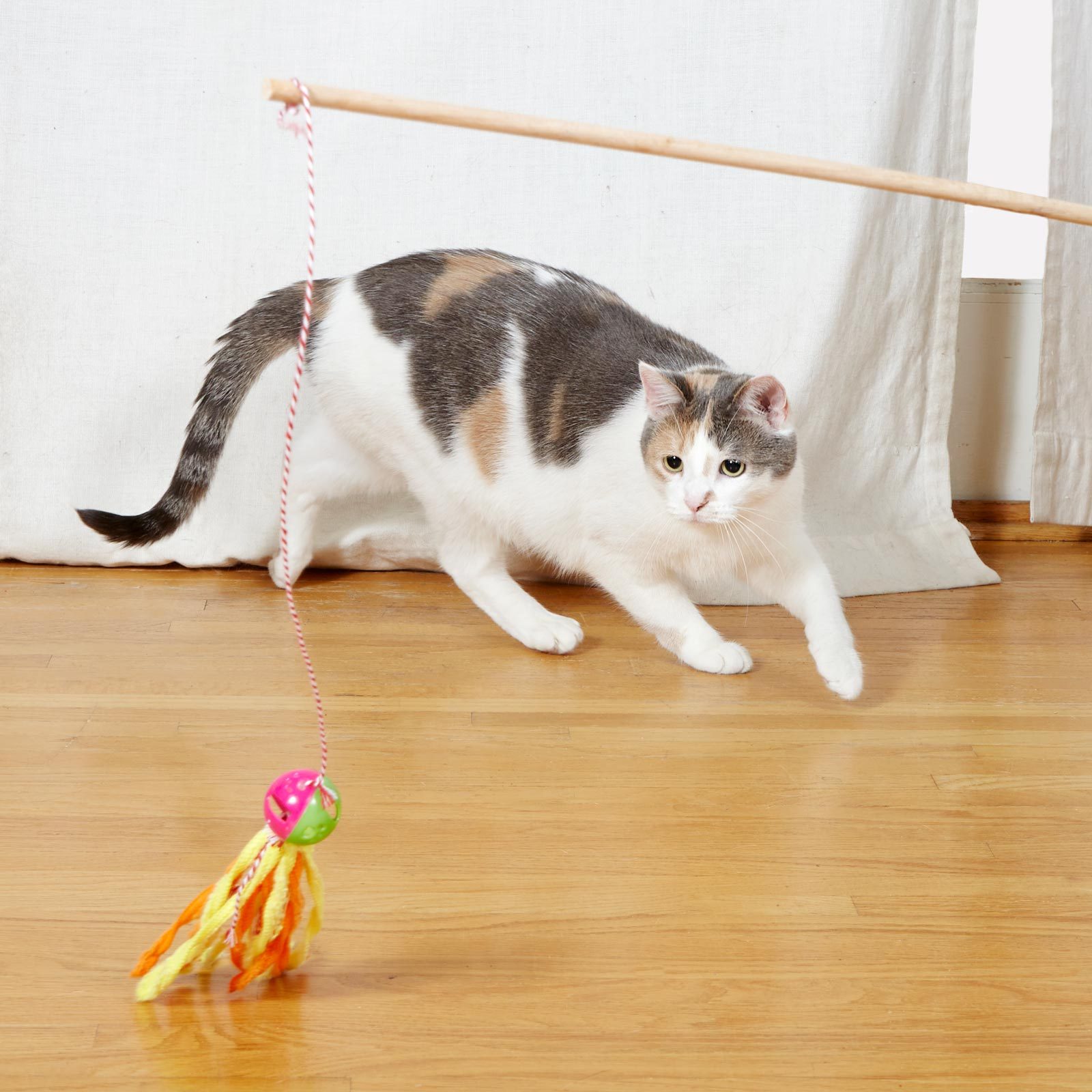 cat playing witha homemade yarn toy