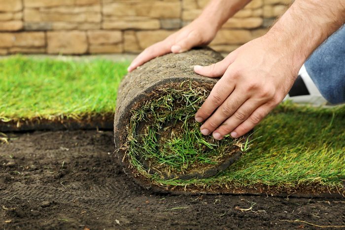 close up of hands rolling out sod
