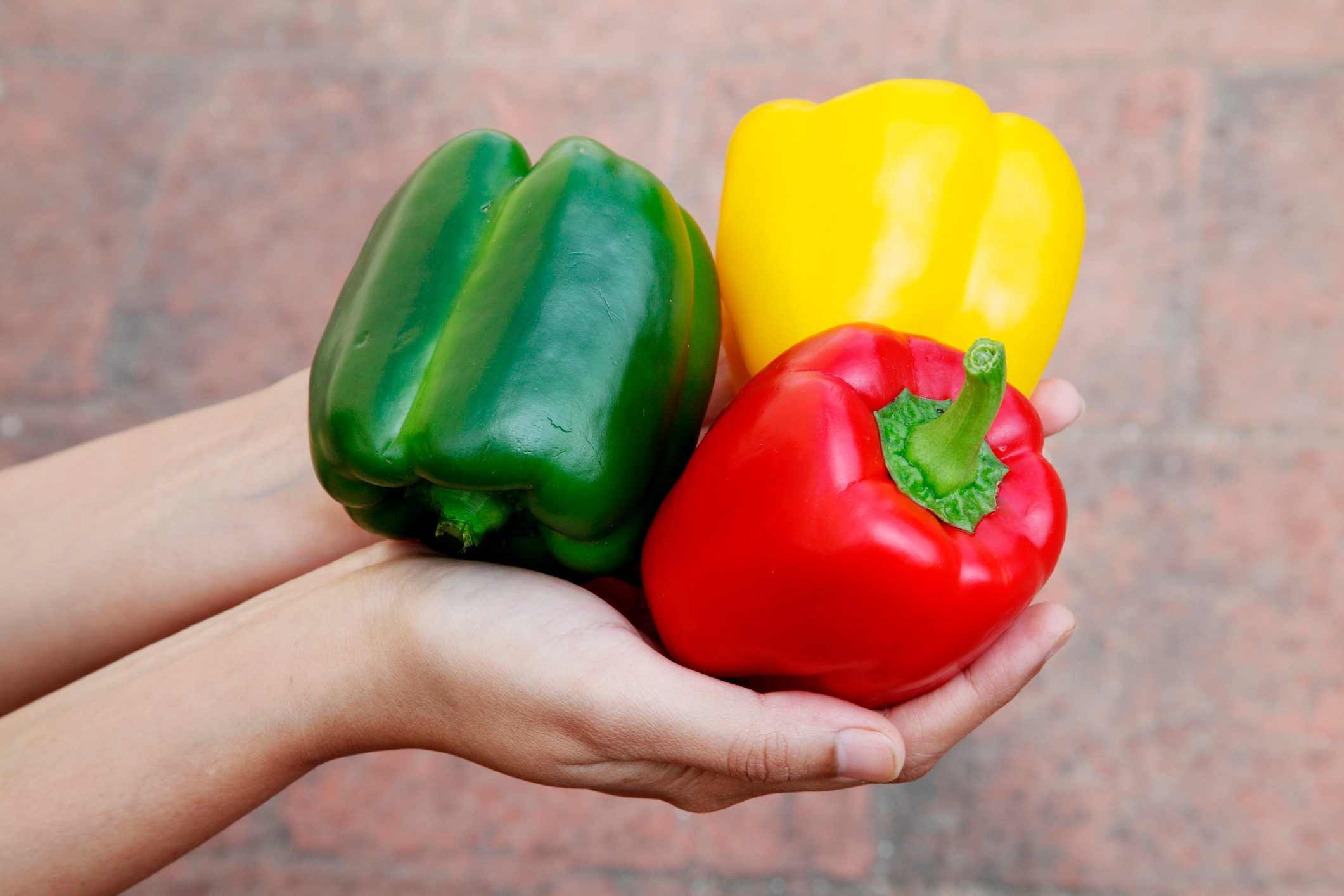  How To Grow Bell Peppers