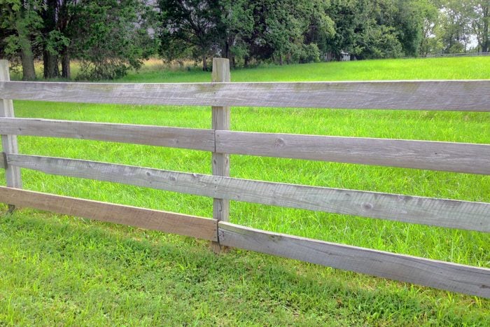 Fence In Field