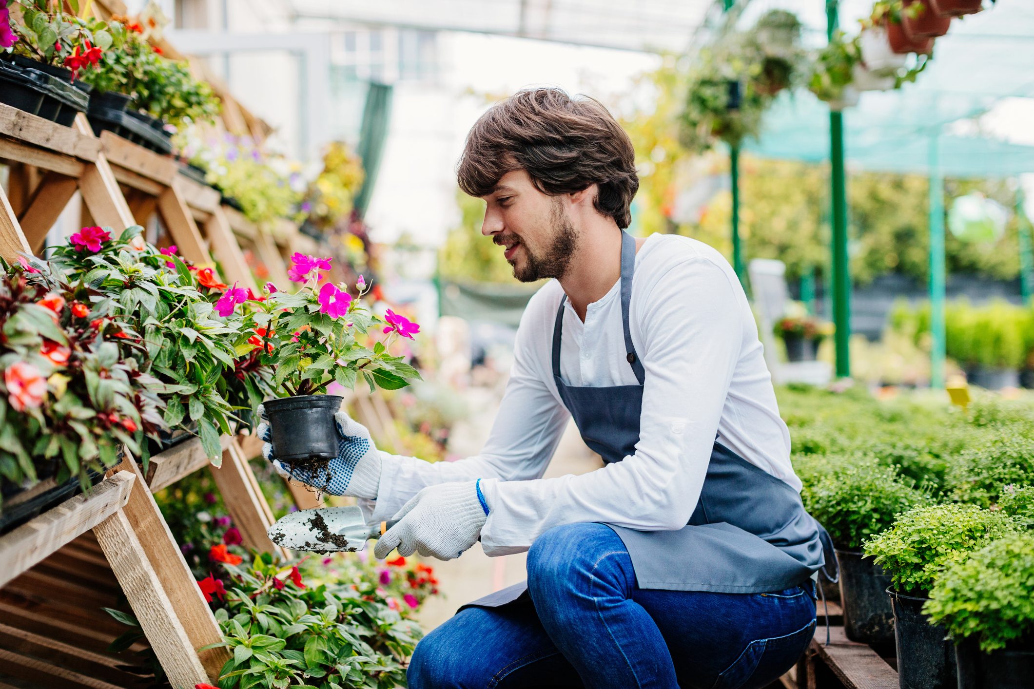 Young gardener