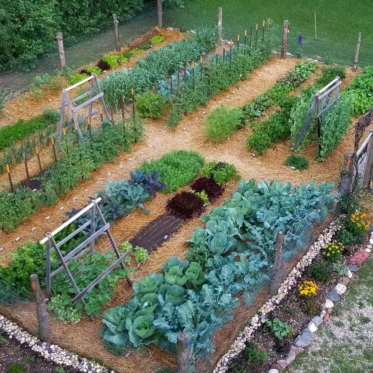 https://www.familyhandyman.com/wp-content/uploads/2022/06/In-Ground-Vegetable-Garden-courtesy-@thewiedmeyerhomestead-via-instagram.jpg?fit=700%2C700