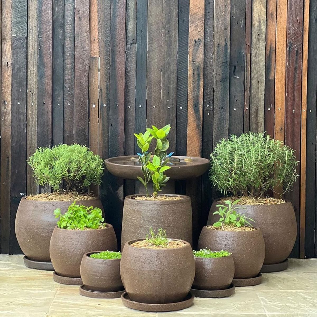 Potted Garden Courtesy @modern Outdoor Design Via Instagram