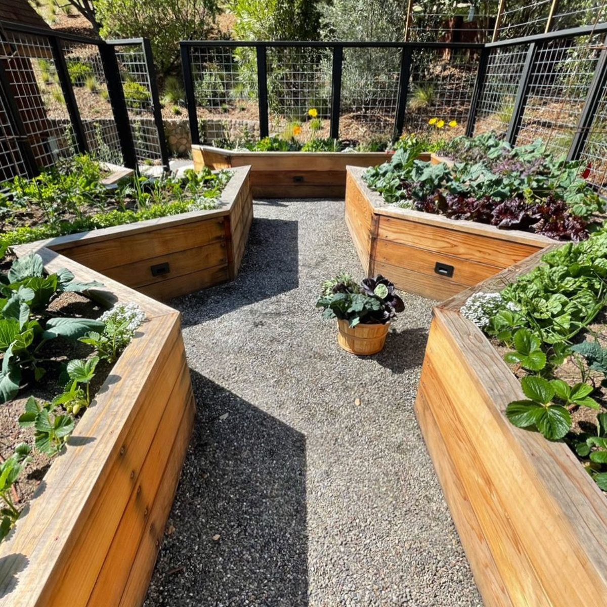 https://www.familyhandyman.com/wp-content/uploads/2022/06/Unique-Shape-Vegetable-Garden-courtesy-@thebackyardfarmco-via-instagram.jpg?fit=700%2C700