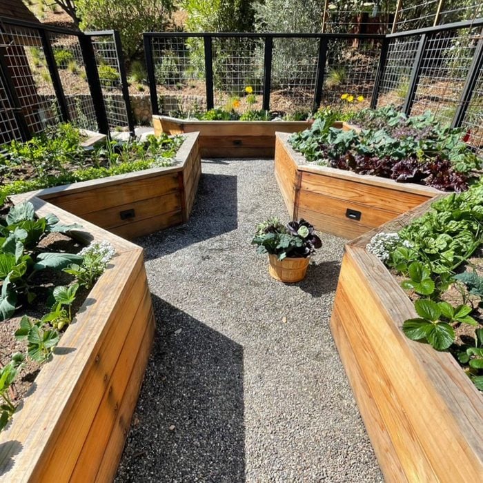 Unique Shape Vegetable Garden Courtesy @thebackyardfarmco Via Instagram