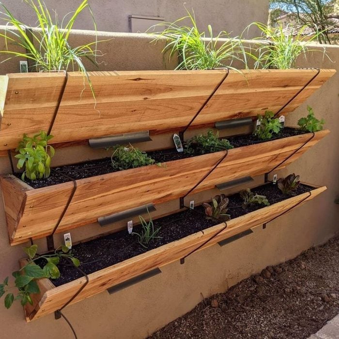 Wall Vegetable Garden Courtesy @flowerstreetaz Via Instagram