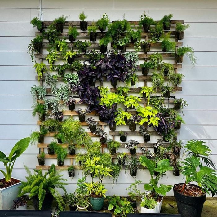 Diy Vertical Garden Courtesy @stacybeamfineart Via Instagram