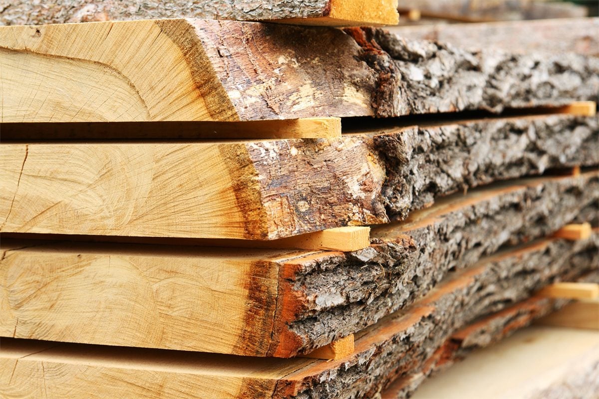 Fh22sep 620 53 Gettyimages 182917702 How To Mill And Dry Lumber Yourself