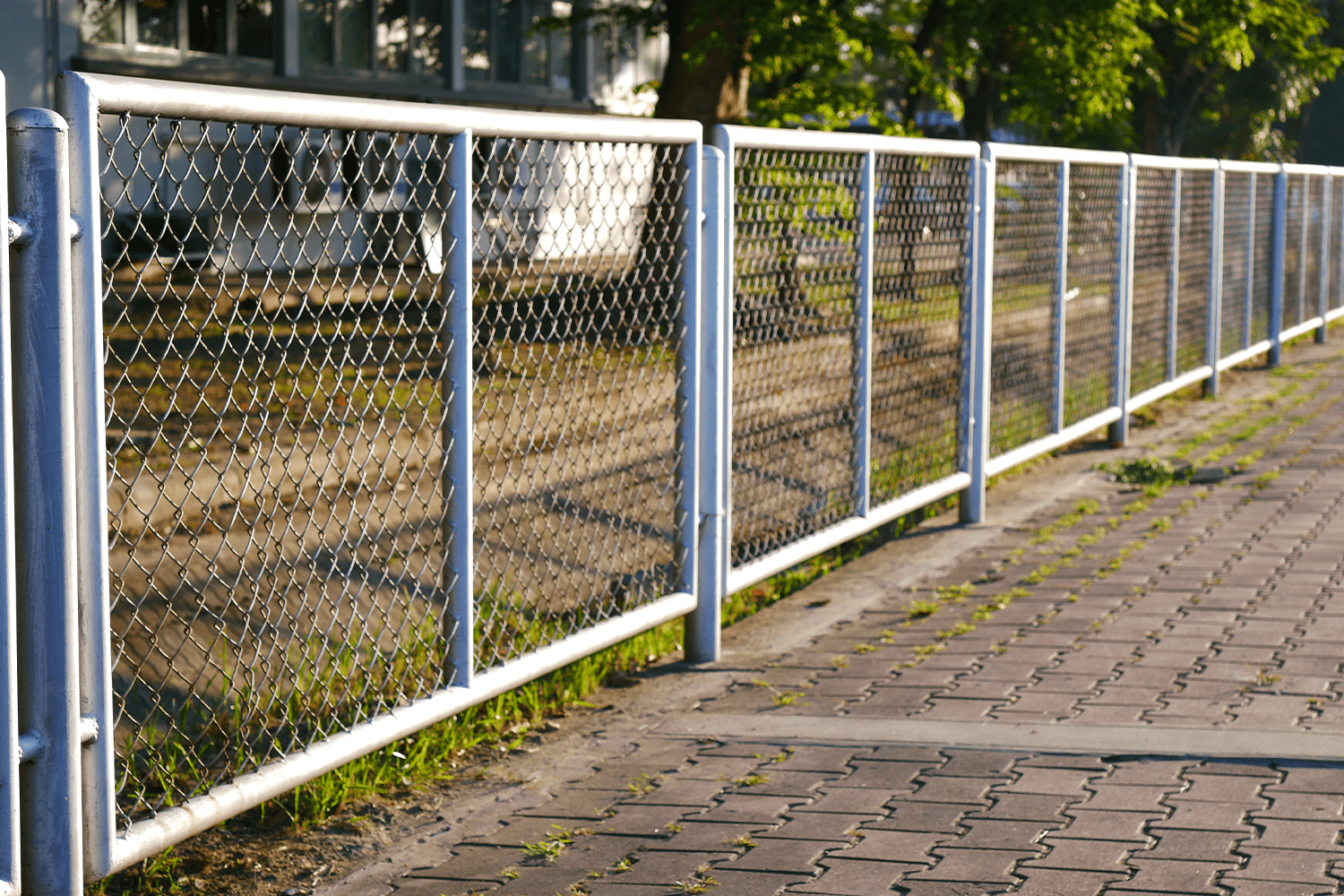 7 Inexpensive Ways to Cover a Chain Link Fence