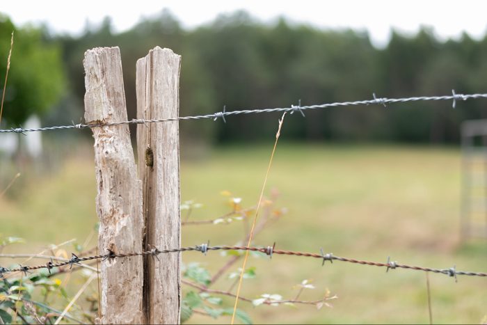 rustic wooden stake fence with barbed wire