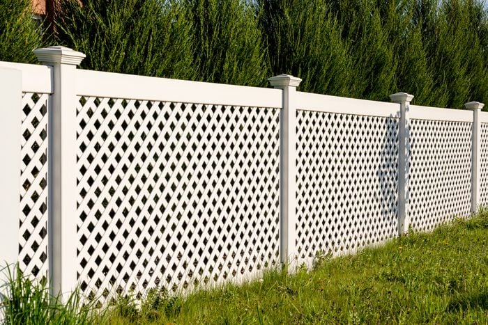 White vinyl fence in a cottage village. Tall Thuja bushes behind the fence.
