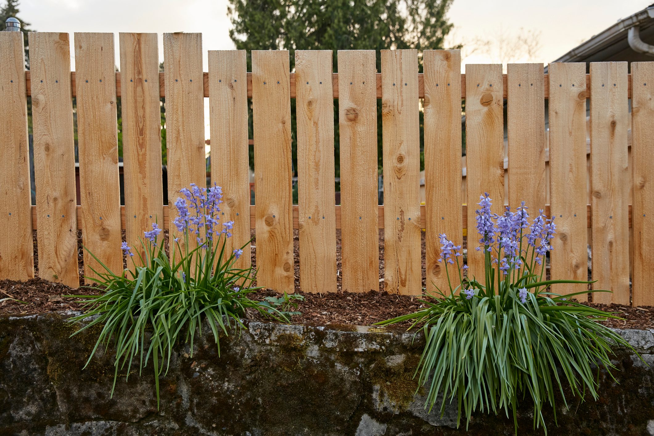 Fence Installation Companies In Wesley Chapel