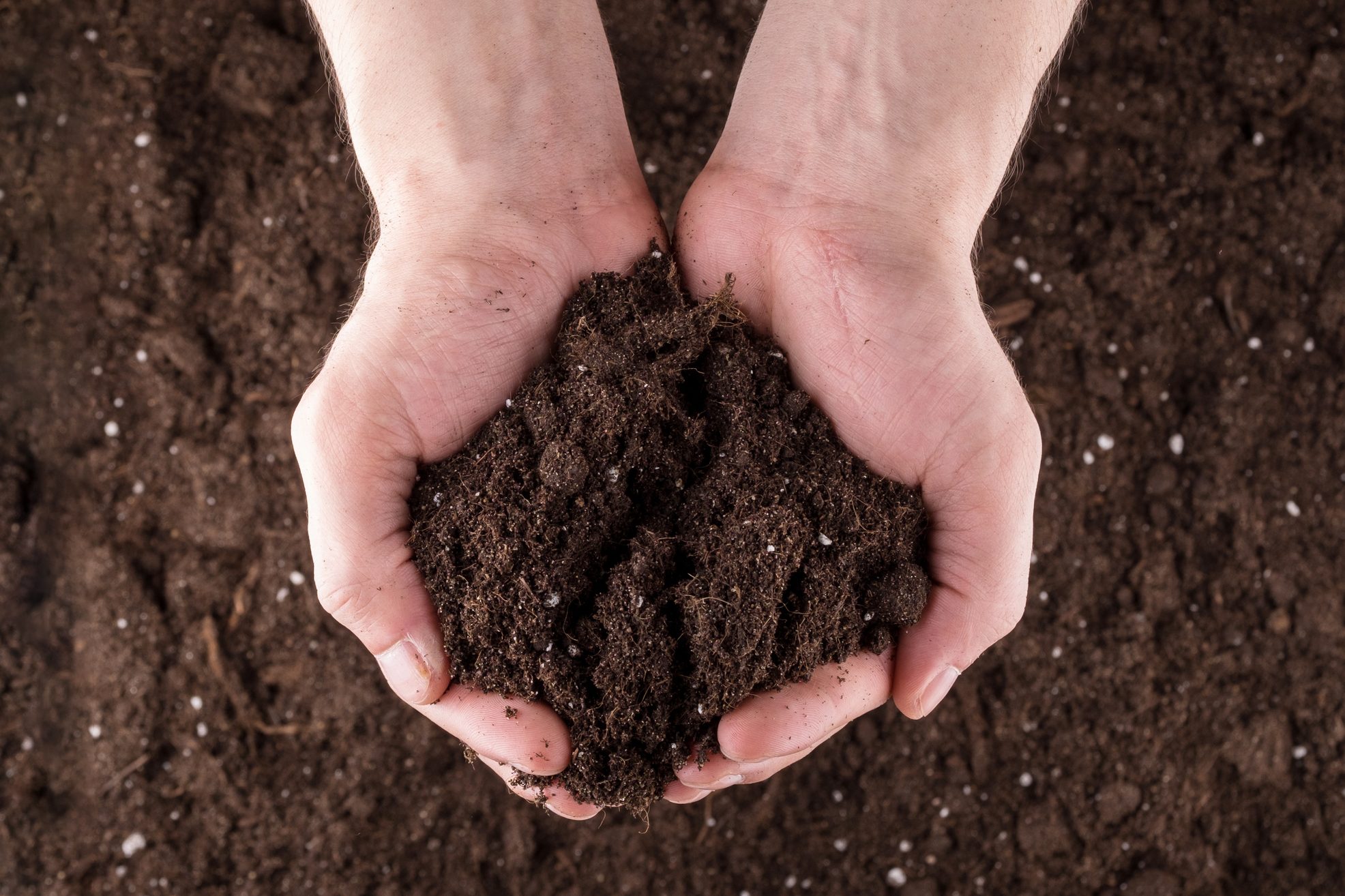 Gettyimages 637708276 Soil