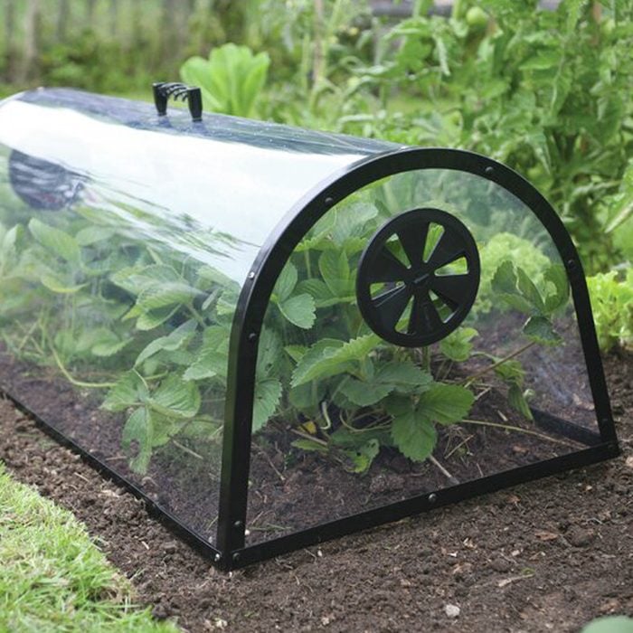 Haxnicks Mini Greenhouse Ecomm Wayfair.com