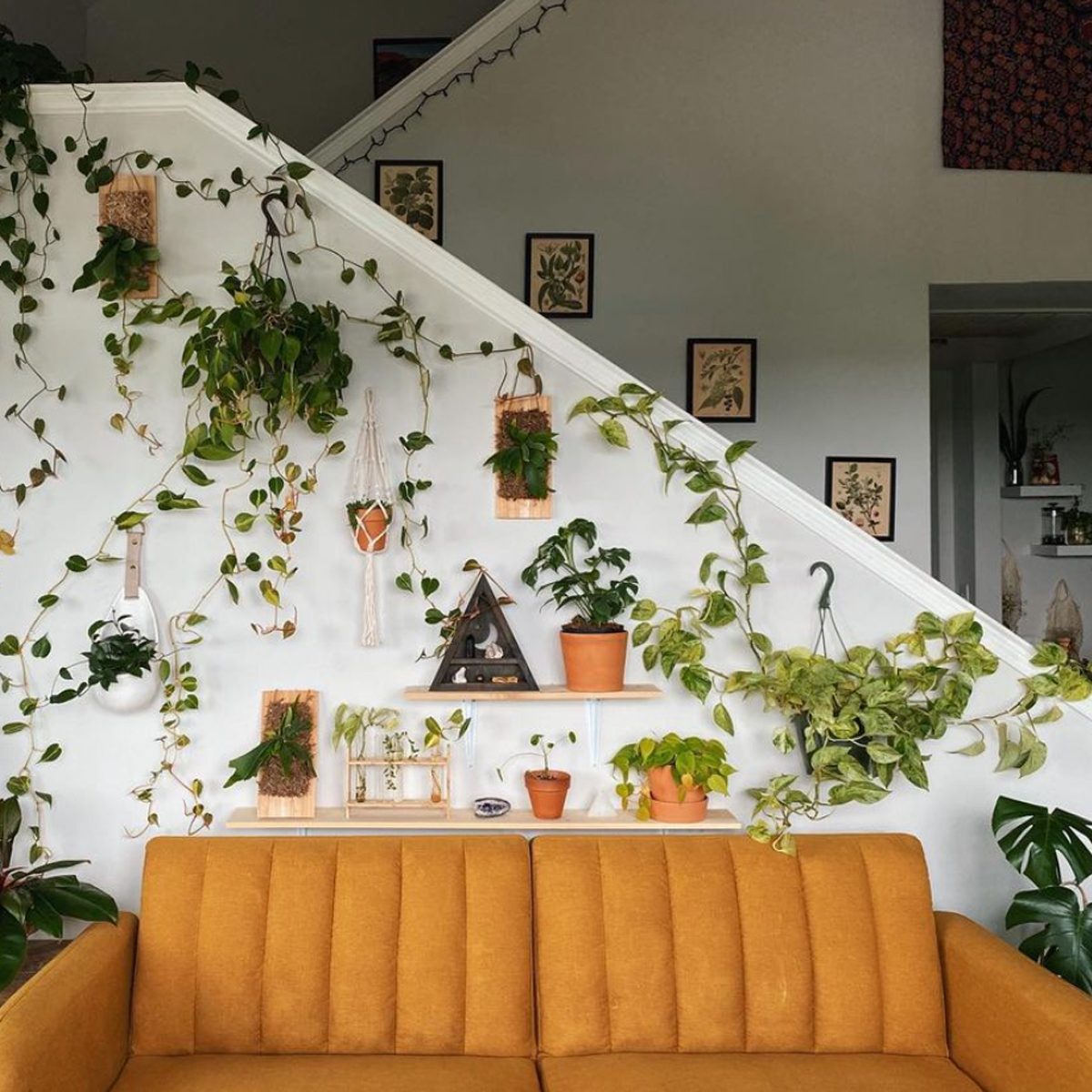 Indoor Vertical Garden Courtesy @meginwonderlnd Via Instagram
