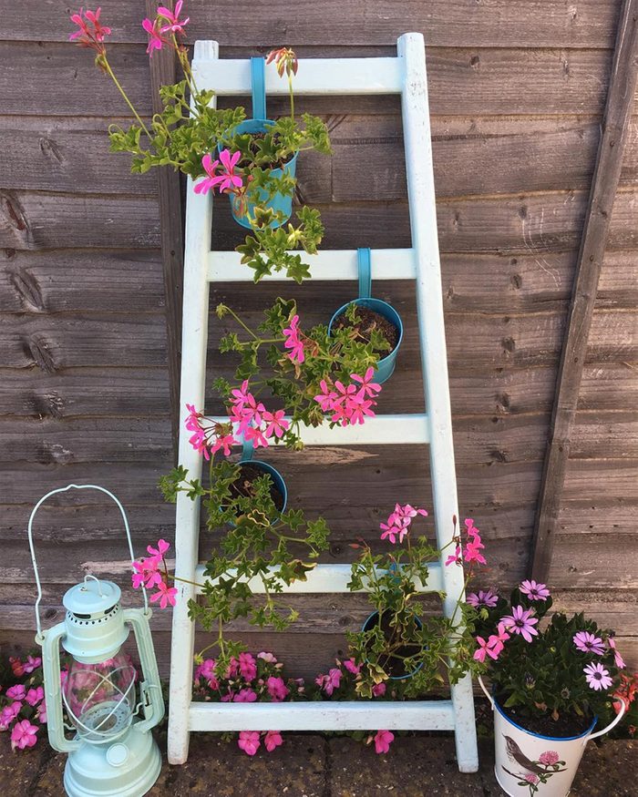 Ladder Vertical Garden Courtesy @in Need Of Vitamin Sea Via Instagram