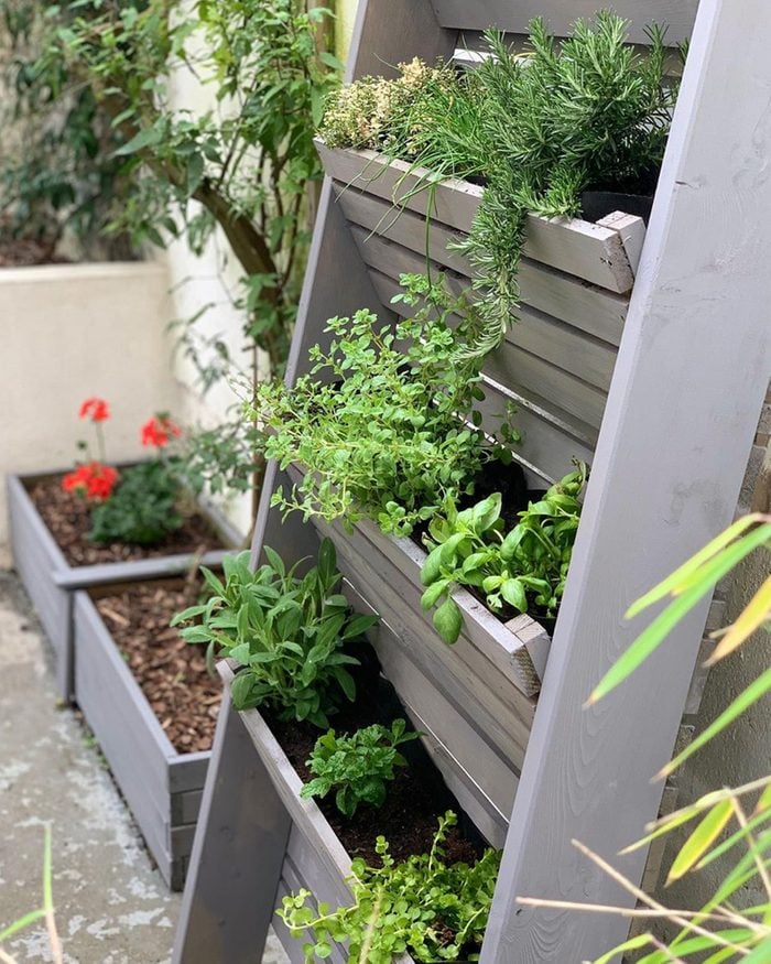 Leaning Vertical Garden Courtesy @carcassonnetownhouse Via Instagram