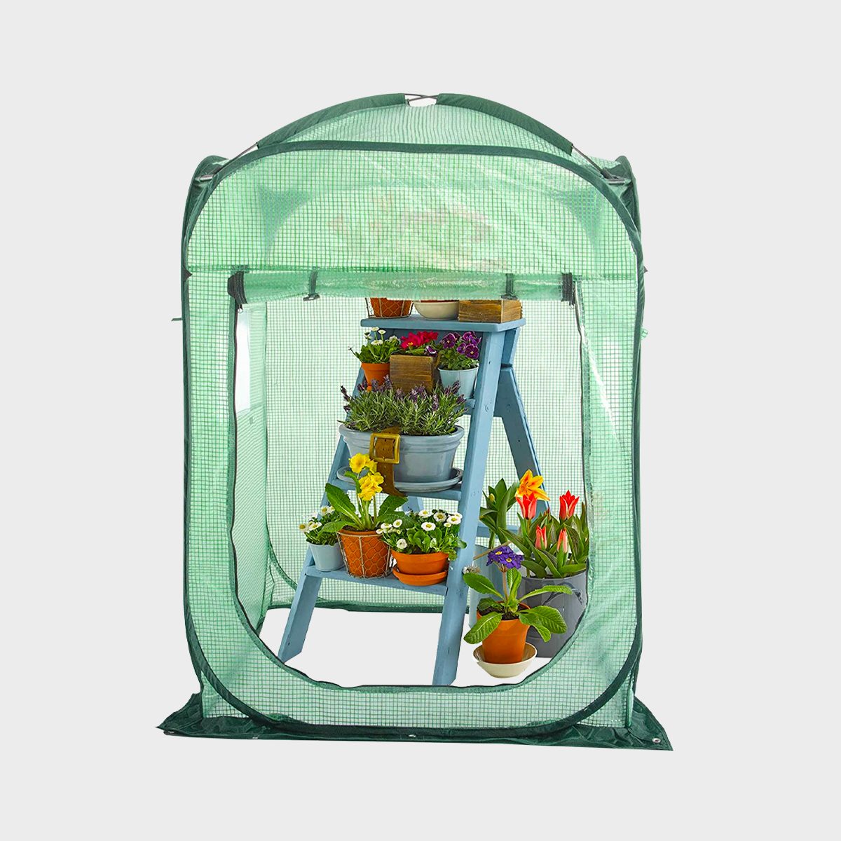 Porayhut Pop Up Greenhouse Tent Ecomm Amazon.com