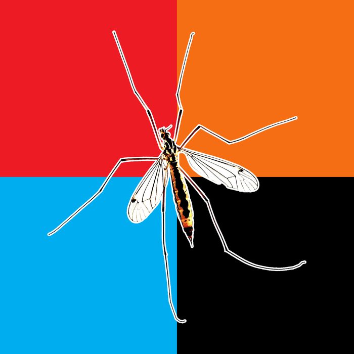 Mosquito Colors 2