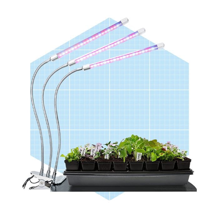 Brite Labs Led Grow Light For Indoor Plants Ecomm Amazon.com