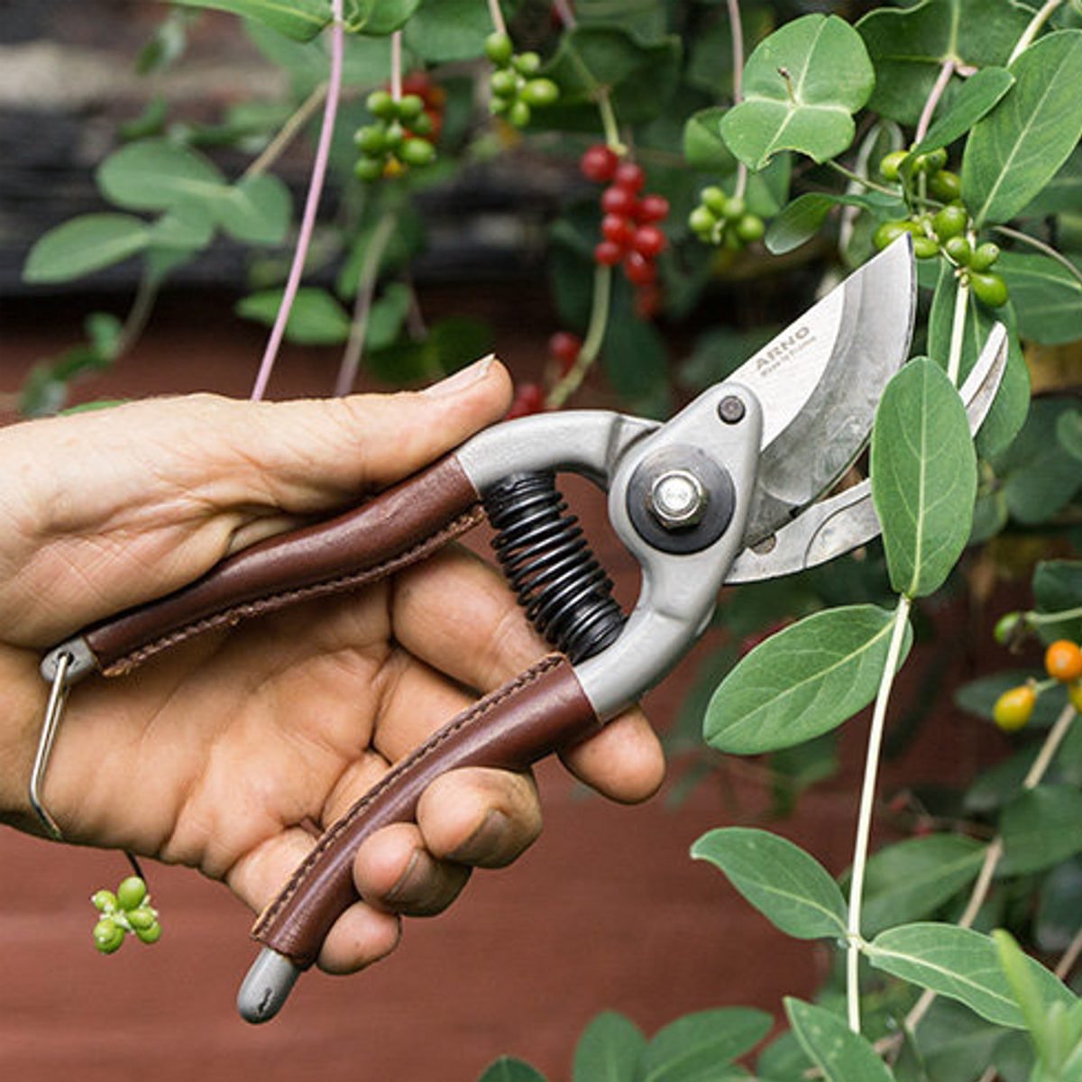 Choosing the Right Pruner for the Job