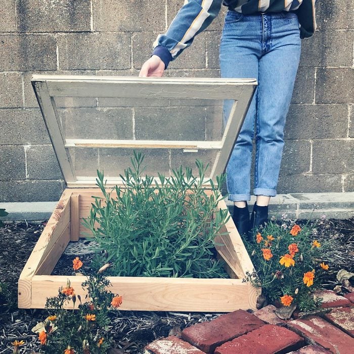 Cold Frame Mini Greenhouse Courtesy @perennialstl Via Instagram