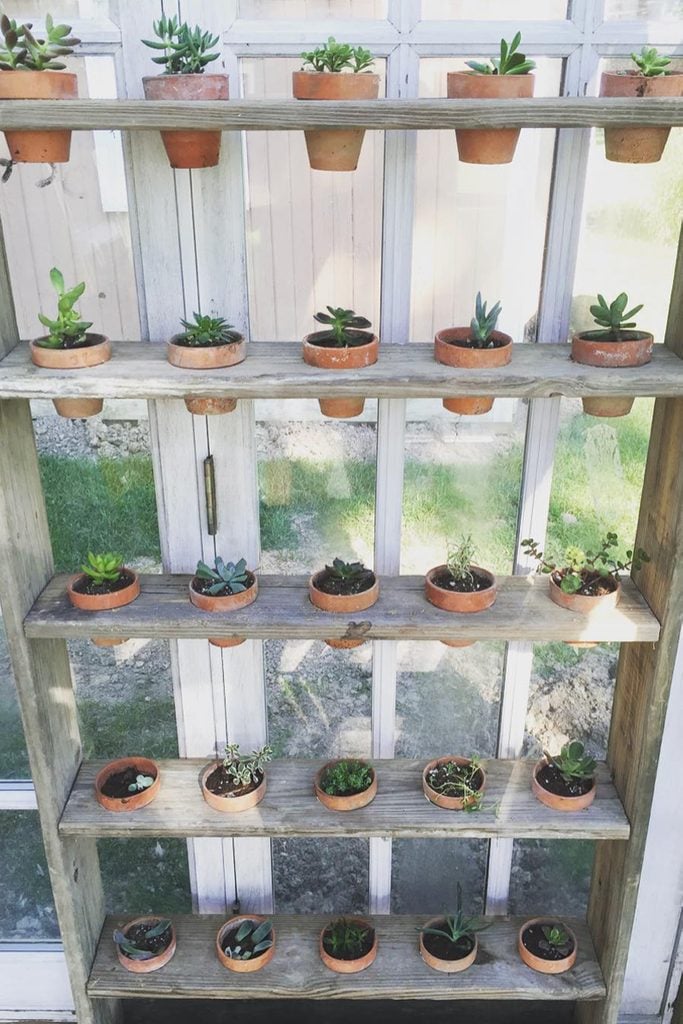 Cut Out Greenhouse Shelving Courtesy @jesskkramer Via Instagram