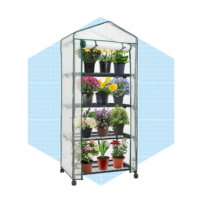 Eagle Peak Mini Greenhouse