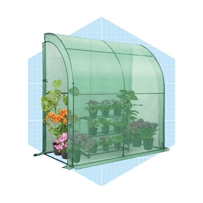 Eagle Peak Outdoor Lean To Greenhouse