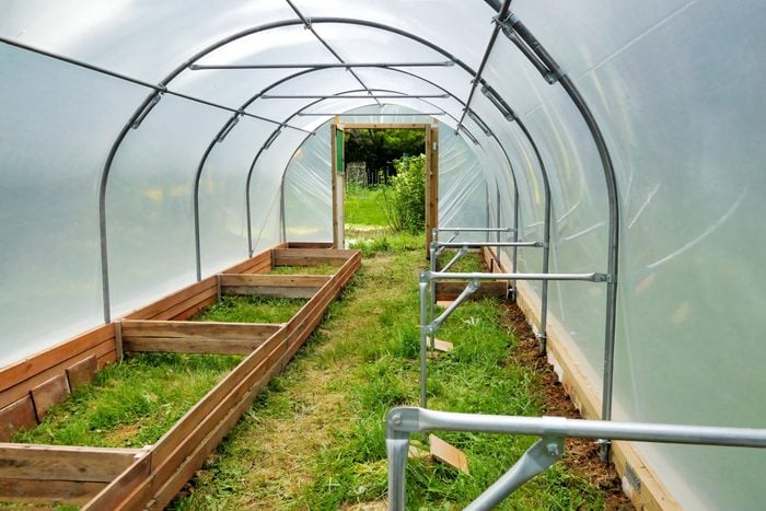 inside a Polytunnel greenhouse under construction