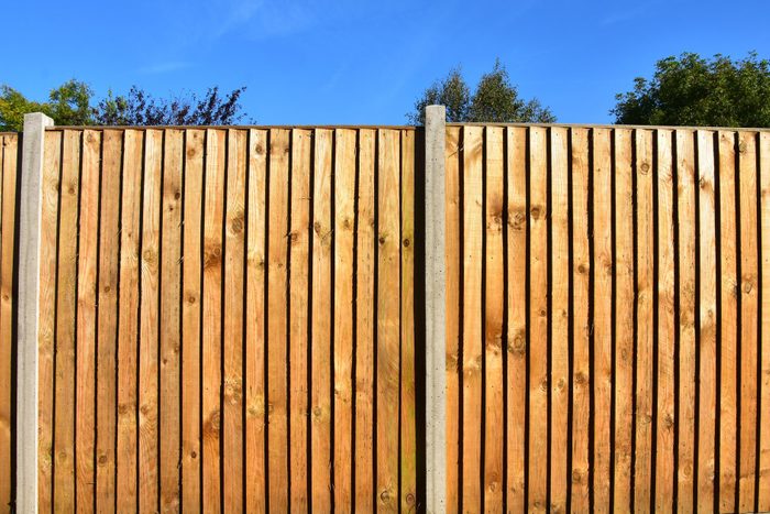 Two panels of a classic wooden featheredge garden fence with concrete support posts