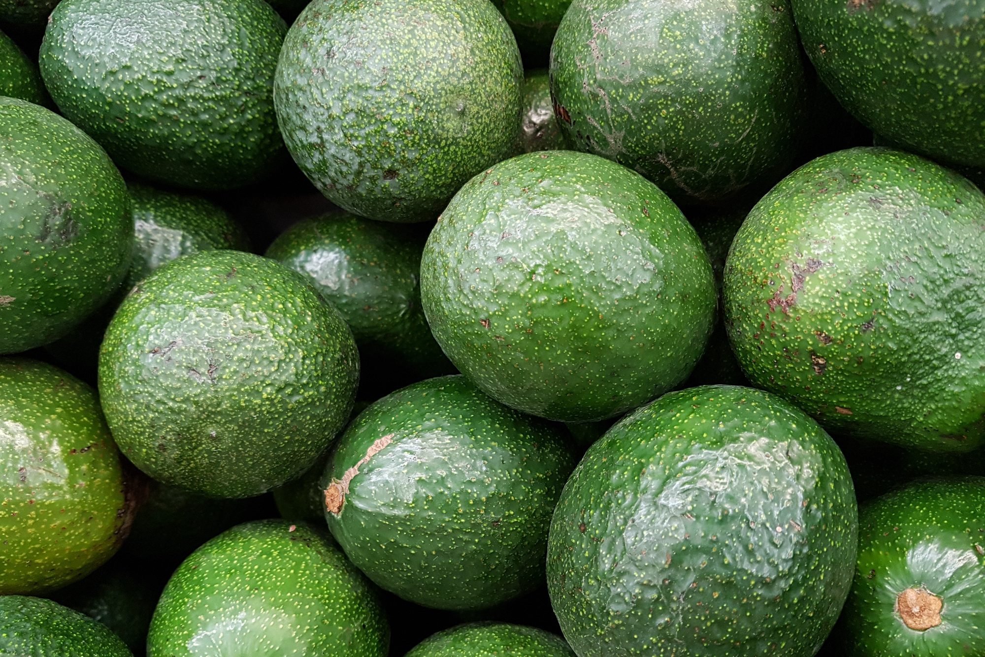 Lots of avocados at the market, full frame