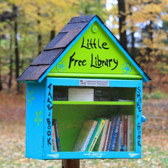 little free library painted bright green and blue with shingles on the roof