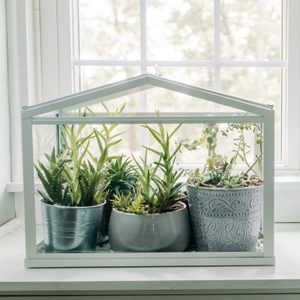 Guide To Choosing the Best Indoor Greenhouse