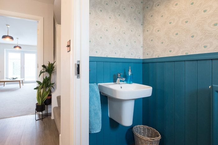 bathroom with blue paneling and peacock feather wallpaper