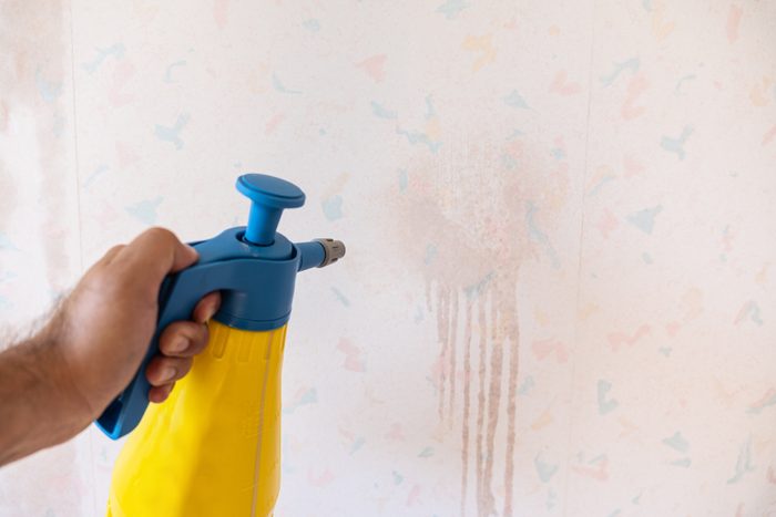 spraying an outdated and faded wallpaper wall with water in a spray bottle