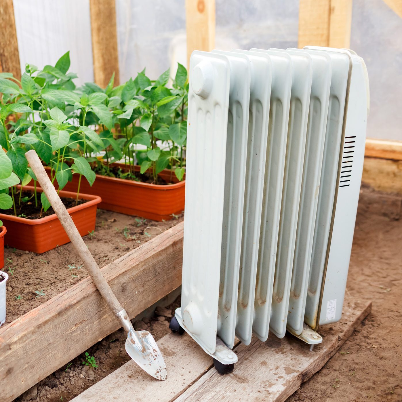 Electric oil heater in greenhouse with seedlings of plants, planting