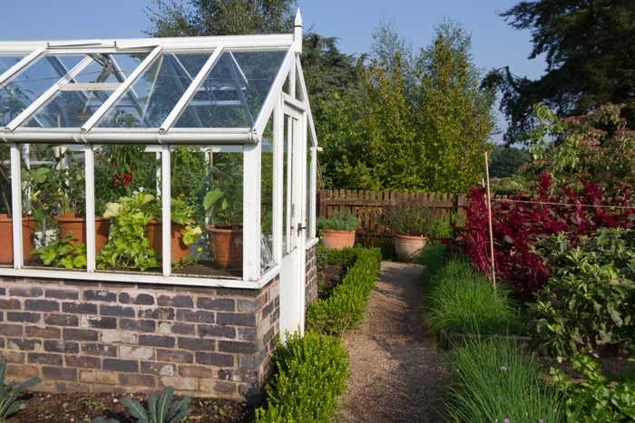 Small wooden and brick Greenhouse in English cottage garden
