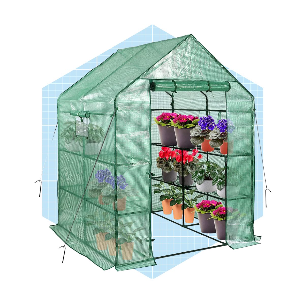 Greenhouses For Outdoors Ecomm Amazon.com
