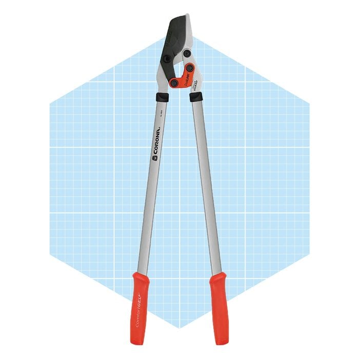 Corona Tools Branch Cutter 31 Inch Duallink Bypass Lopper Ecomm Amazon.com
