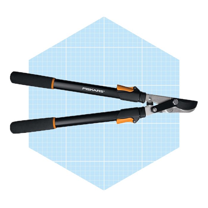 Fiskars Power Lever 25 In Telescoping Steel Bypass Lopper Ecomm Lowes.com