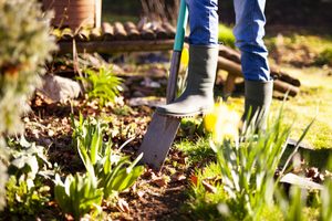 How Much Fall Garden Cleanup Is Really Necessary?
