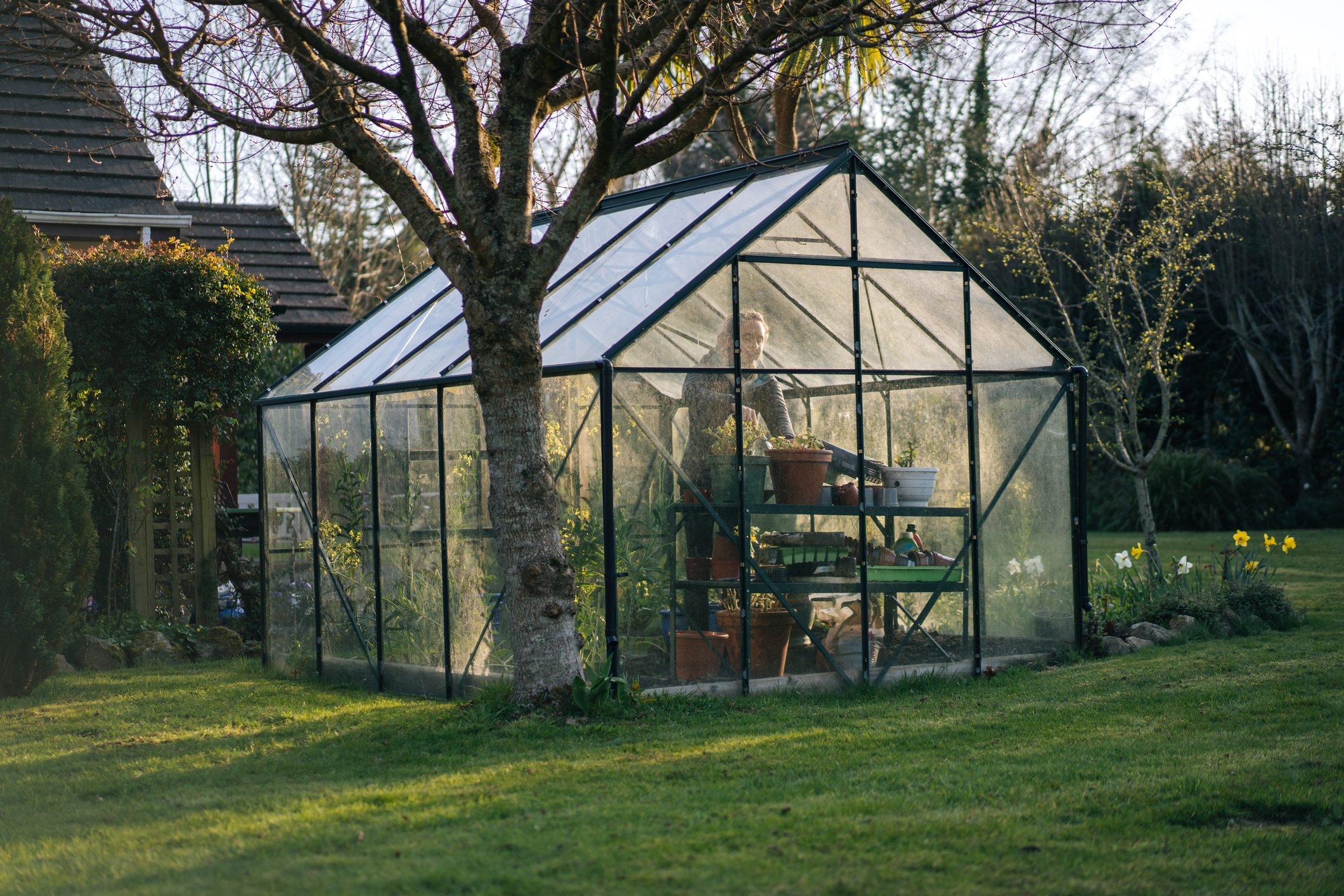 Young woman tends to her garden in a backyard greenhouse