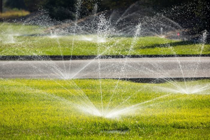 multiple sprinklers watering a grassy lawn